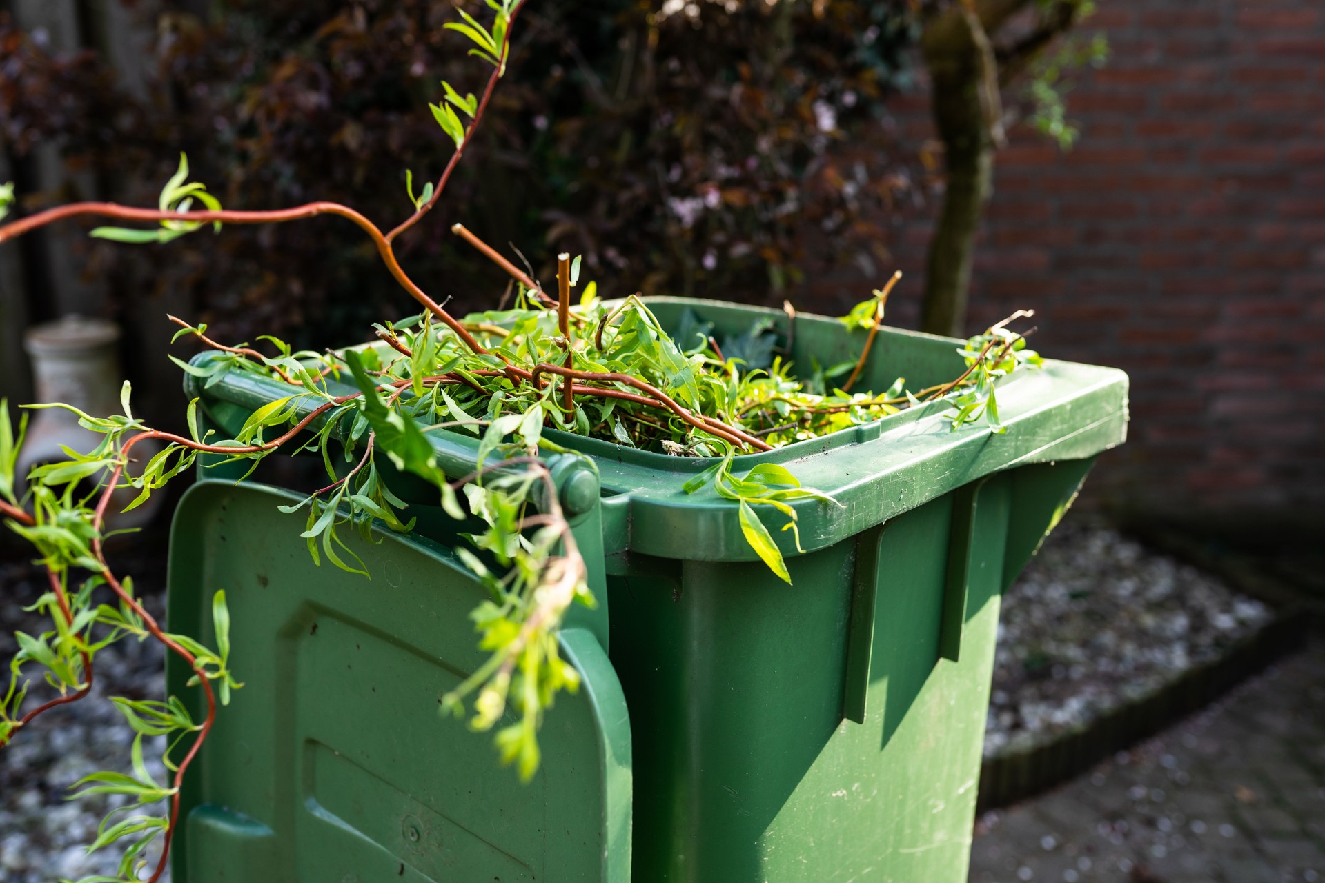 Green wheeled garbage can in back yard with garden waste
